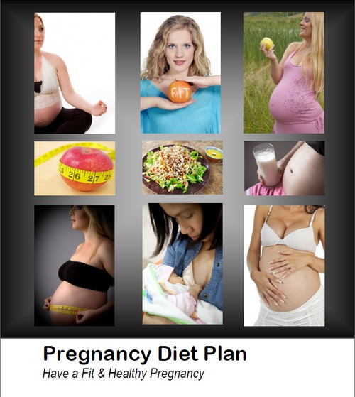 Product picture Pregnancy Diet Plan